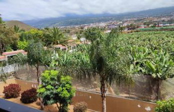 Casa Banana Sunset - Foto 4