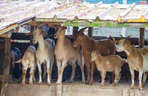 Agriturismo La Casa del Ghiro - Foto 99