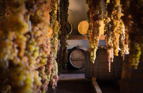 Castello di Volpaia - Foto 114