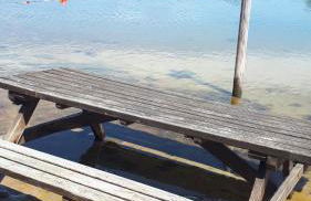 En bord d'eau - charmant Mobil-home climatisé - Cap ferret - Foto 20