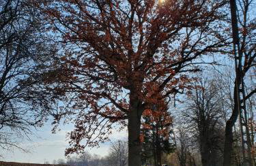 Zaciszne SPA - Foto 6