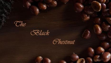 The Black Chestnut - Foto 3