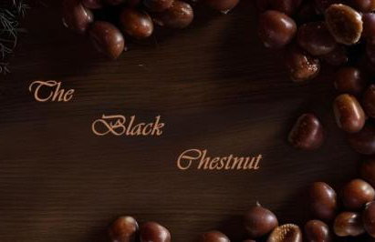The Black Chestnut - Foto 3