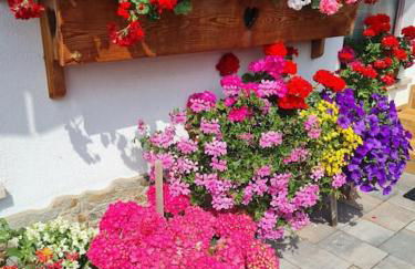 Piccola Suite sul Civetta - Foto 32