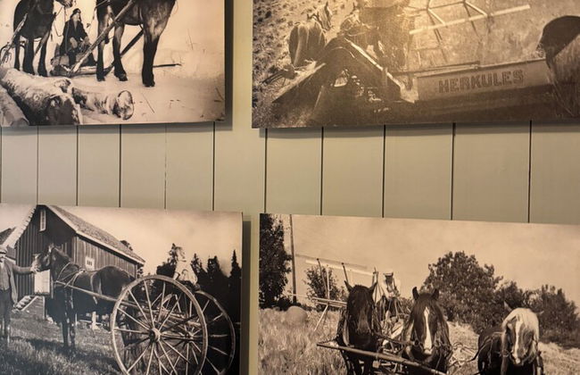 Helgaker Gård - Foto 38