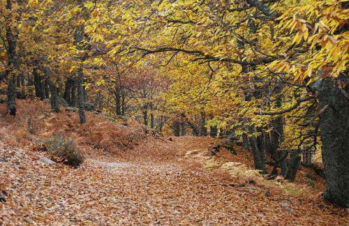 Casa Rural “La Julianita” - Foto 22