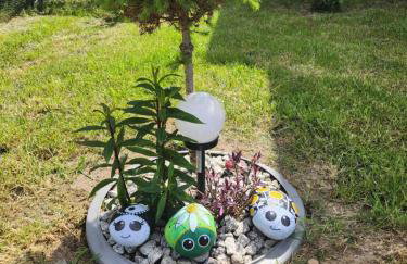 Domki Letniskowe U Żuni - Foto 37