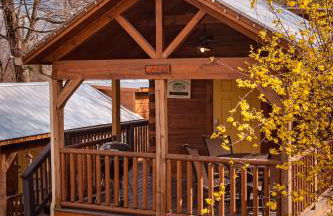 Ani Cabin Tiny Home Bordered By National Forest - Foto 19