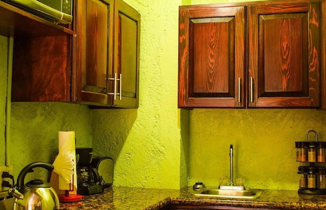 Brownstone Marlin Drive - Foto 31