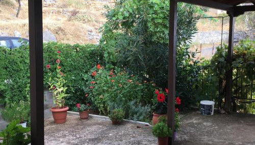 Angel - Foto 5, Garden