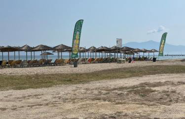 Sempre Viva - Foto 28