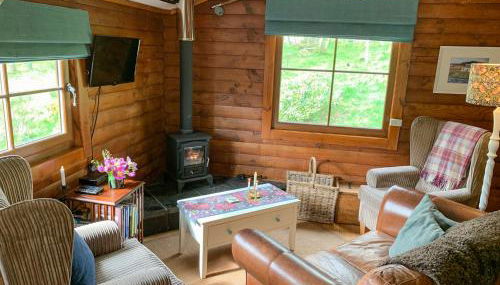 Squirrel View - Foto 2