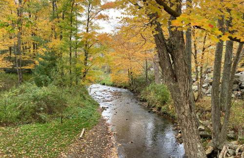 Picturesque Riverside Cabin with Fireplace and Porch - Foto 21