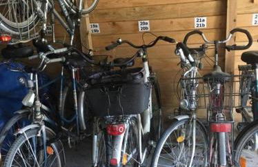 Fewo Schwalbennest-exklusiv-eigener Strandzugang-Wellenrauschen - Photo 9