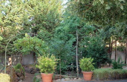 Villa Clarenza - Holiday House - Foto 36