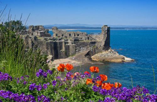 1 Bed in St. Andrews oc-c30132 - Foto 21