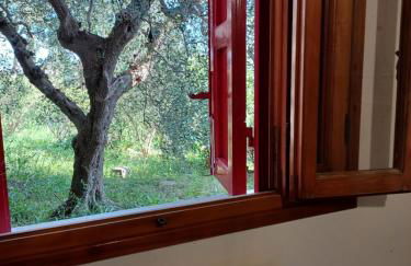 Verde Mare apartment Rosignano Marittimo - Foto 30