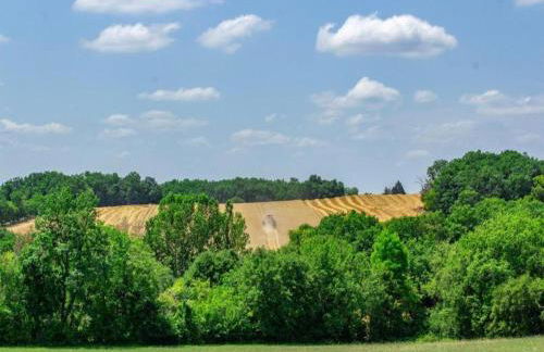 Holiday Home Montaigu-de-Quercy Lake - Foto 29