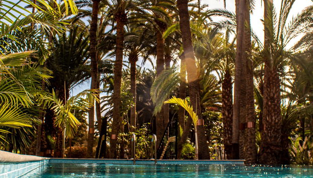 Villa Eden Apartamentos - Foto 4