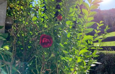 Apartment HaNiLe - Foto 67