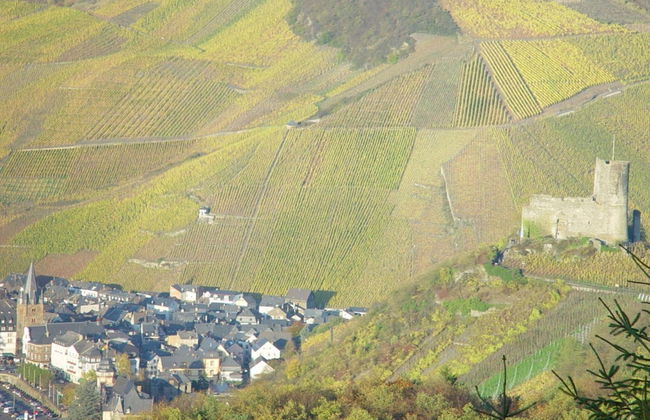 Anton Zimmermann Winery - Photo 20