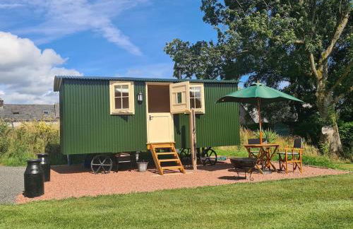 Shepherd's Hut in heart of the Brecon Beacons - Photo 22