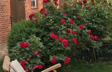 Fachwerk-Fischerhaus an Elbe und Aland - Foto 27