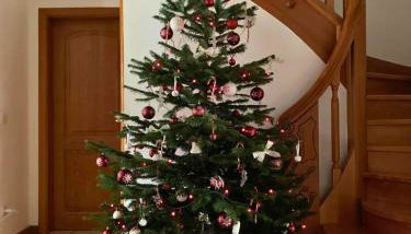 HAVRE DE PAIX - Maison 3 étoiles - Piscine Privée - Europapark - Foto 2