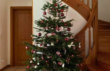 HAVRE DE PAIX - Maison 3 étoiles - Piscine Privée - Europapark - Foto 2