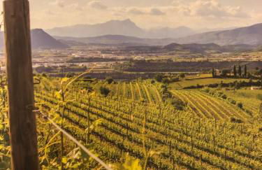 Appartamento Rosegarden - Foto 60