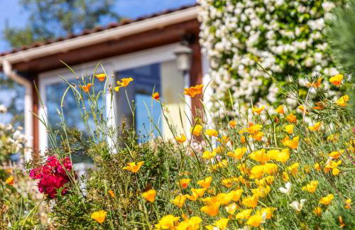 Gite proche Sarlat - Foto 22