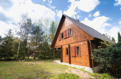 Sowa i Kumple - Foto 5