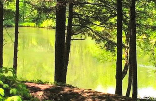 Luxurious Riverfront Cottage with a Hot Tub and a Fireplace near the Twin Lakes, Connecticut - Foto 18