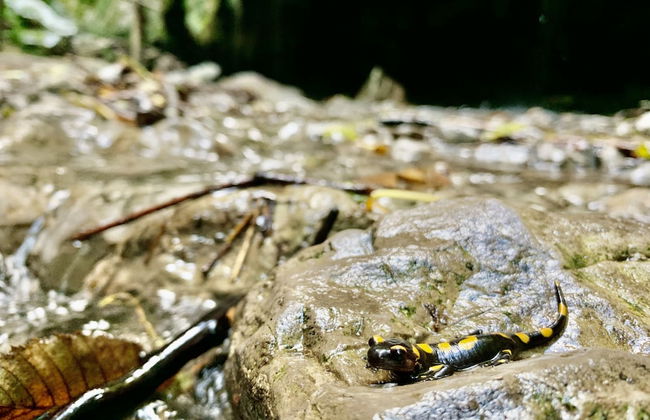 Tenuta Novecento Bio Agriturismo - Foto 62