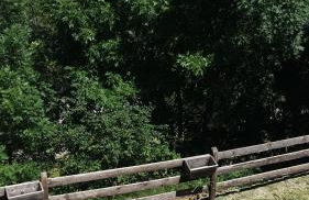 En pleine nature avec jardin - Foto 6