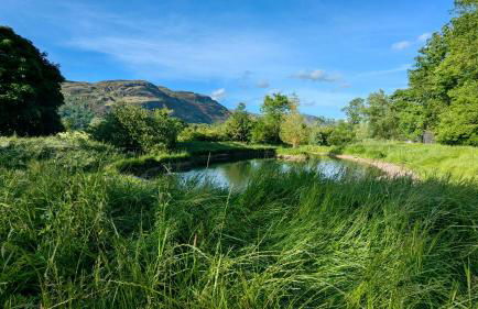 Luxury Shepherds Hut on Powis House Estate - Foto 24