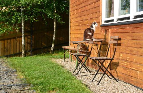 Domki na Polach Piwniczna-Zdrój - Foto 57