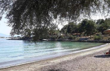 Alexander's - Foto 25