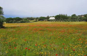 Agreen Country House - Foto 27