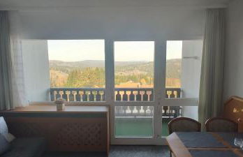 Two Apartaments Almberg - Mitterdorf-Mitterfirmiansreut - Foto 5