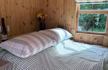 Shepherds Hut with Hot Tub - Foto 14