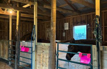 Skull Creek Ranch Cottage - Foto 12