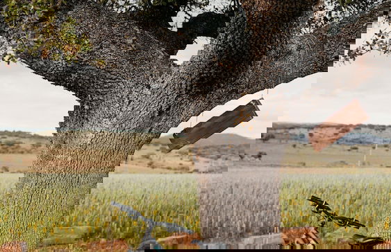 Montimerso Skyscape Country House - Foto 67