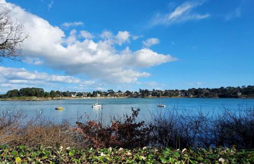 Des chevreuils - Photo 22