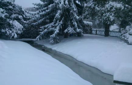 Wohnen im Hühnerhaus - Foto 3