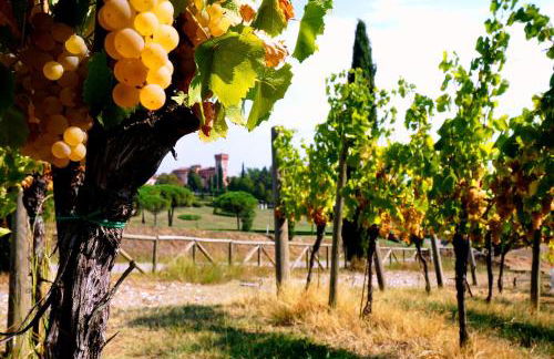 Casale in Collina - Foto 67