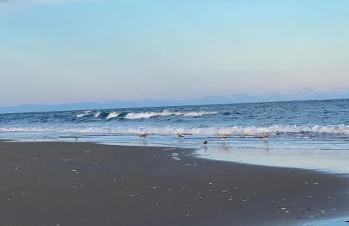 NC 12 56821-8 Condo - Foto 16