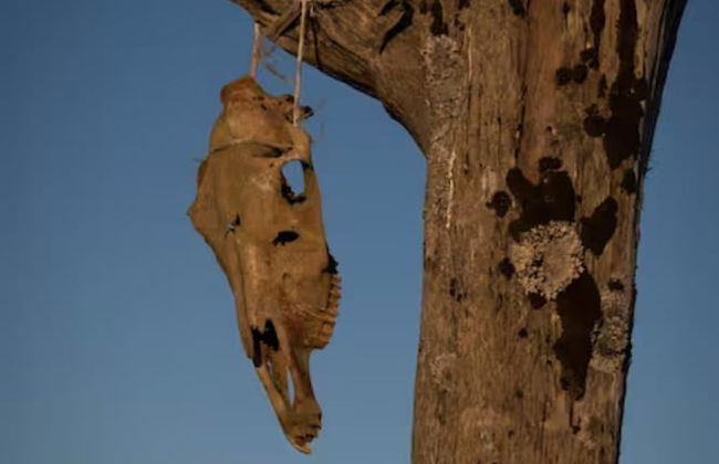 Jakob's old Farmhouse - Foto 4