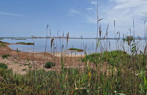 Apartment San Pedro - Foto 37