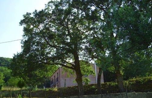 Agriturismo San Pietro - Foto 17